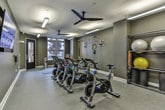 Located in Atlanta, GA, this dedicated fitness studio is designed to support a comprehensive range of workout routines in a single, thoughtfully organized space. The room features neutral gray walls, durable low-pile carpet flooring, and bright linear overhead lighting, creating a clean and focused environment for exercise. A ceiling fan provides additional air circulation during high-intensity sessions.

The cycling area is anchored by a row of Stages indoor cycling bikes positioned toward a large wall-mounted display screen, ideal for virtual or instructor-led spin classes. A secondary monitor is also mounted nearby for additional content viewing. On the opposite wall, a wall-mounted TRX suspension training rack offers versatile bodyweight training options, accompanied by resistance bands and suspension straps.

A dedicated storage rack holds an assortment of stability and medicine balls in various sizes, along with resistance bands and foam rollers. A color-coded dumbbell rack provides a range of free weights for strength training, and stacked exercise mats offer space for floor work and stretching. Large windows along one wall allow natural light to filter into the space, offering views of the surrounding greenery. This studio is a fully appointed, multi-functional fitness facility suited for cardio, strength, and flexibility training.