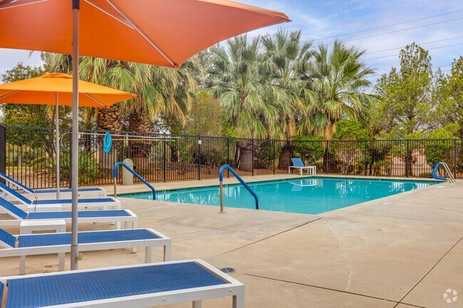 Pool - Oasis Palms