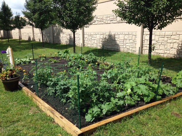 Sterling Commons 600 Apartments Sterling Heights Mi Apartments Com