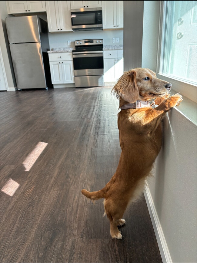 Building Photo - Lauren's Place