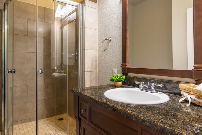 2 Bedroom 2 Bath Bathroom - The Palazzo