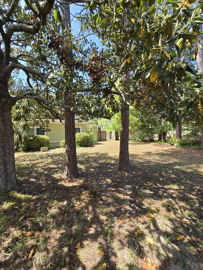 Foto del edificio - 48 Ferry Rd NE