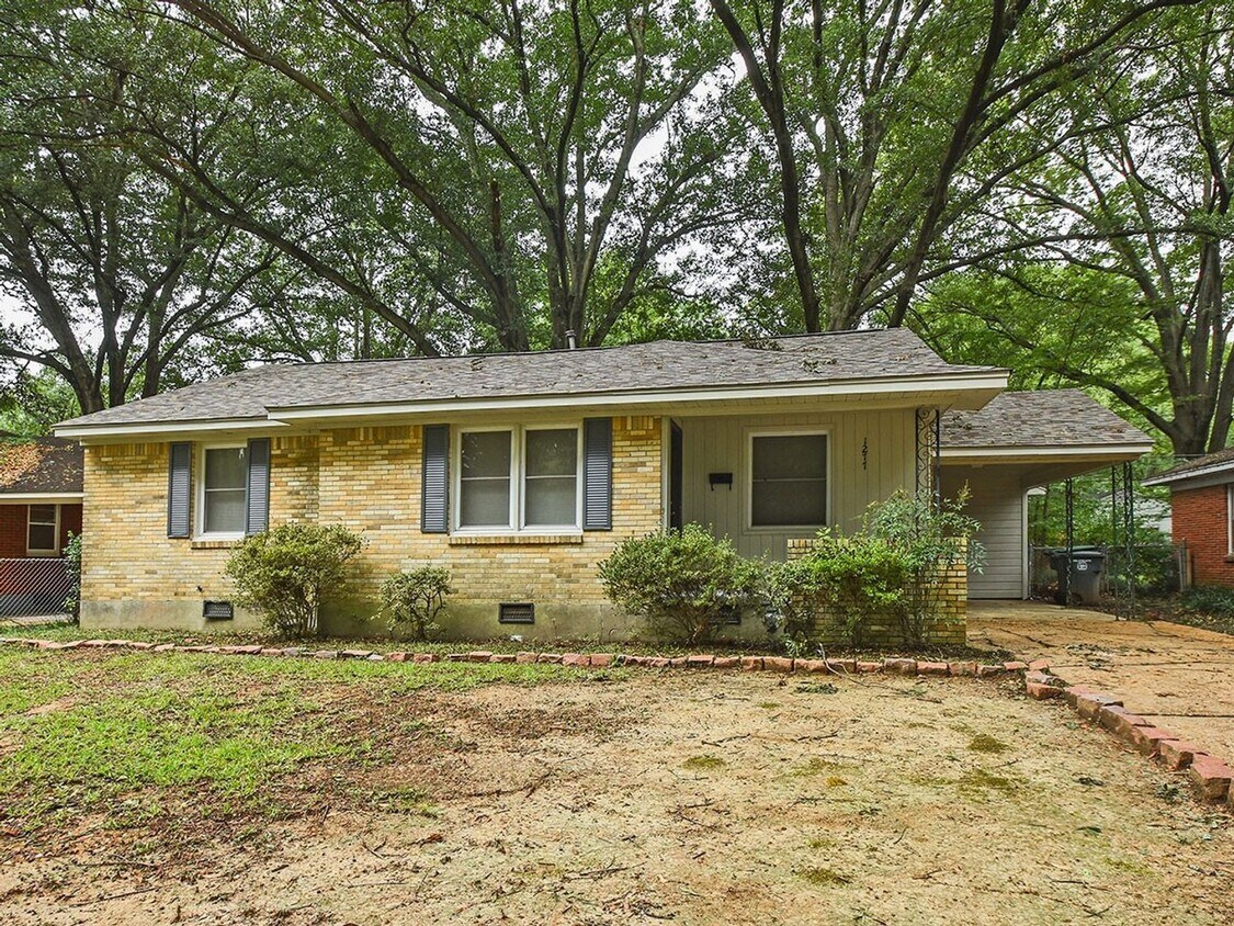 Primary Photo - Updated 3 bed, 1.5 bath near U of M.