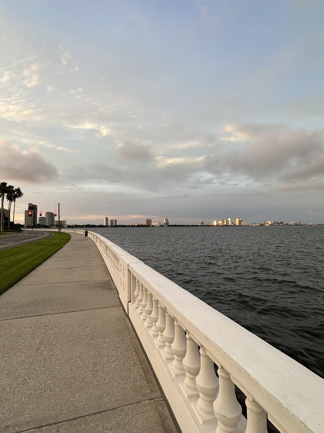 Building Photo - 5221 Bayshore Blvd