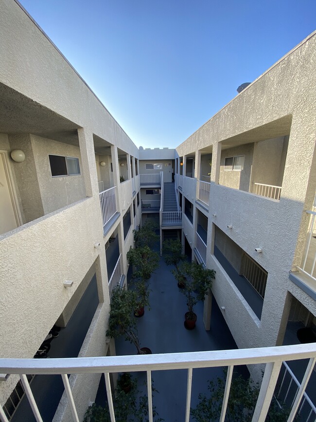 Courtyard - 843 Irolo St Apartments