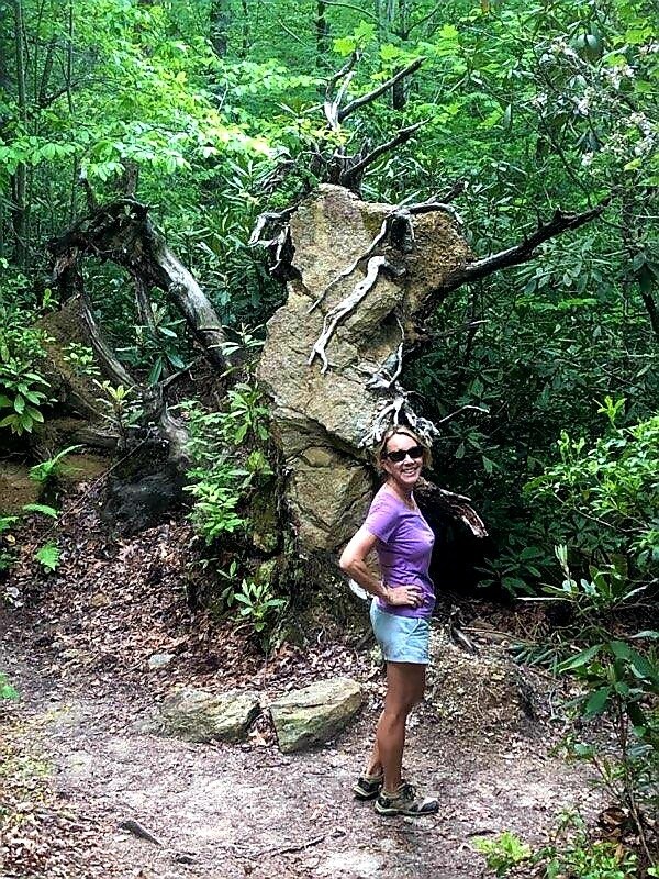 Maravillosas rutas de senderismo a 6 minutos - 82 Creekside Dr