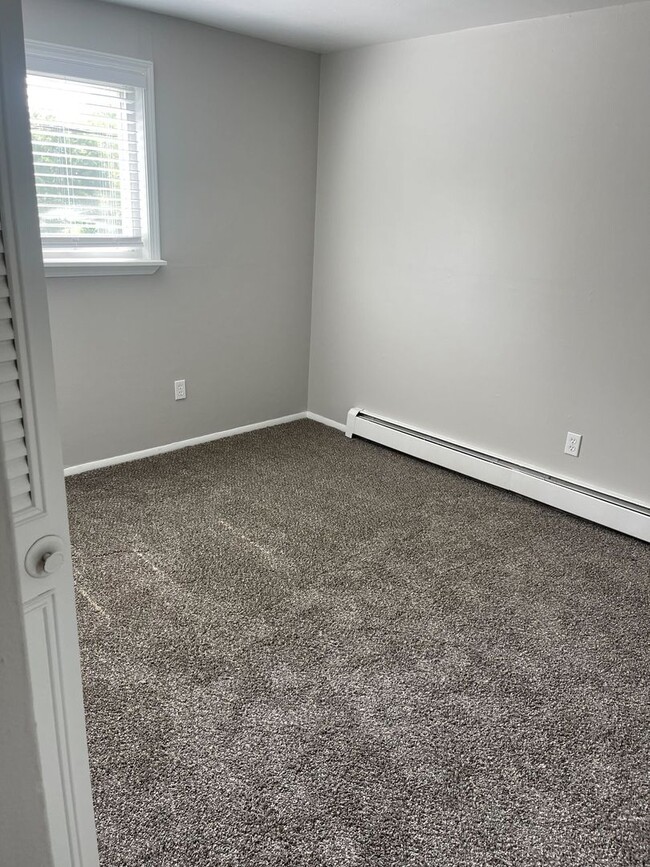 Interior Photo - Pine Tree