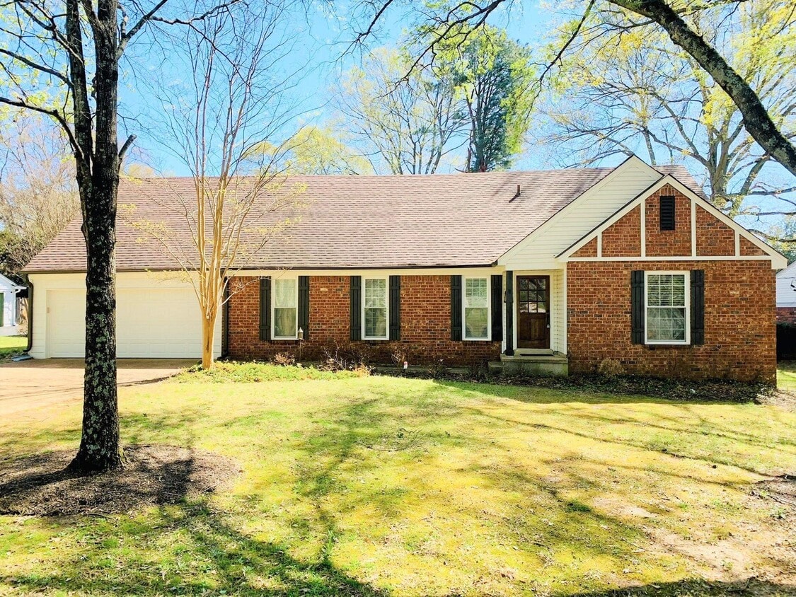 Primary Photo - 7207 Poplar Pike