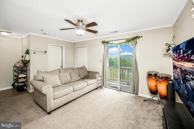 Foto del edificio - 75 Fern Oak Cir
