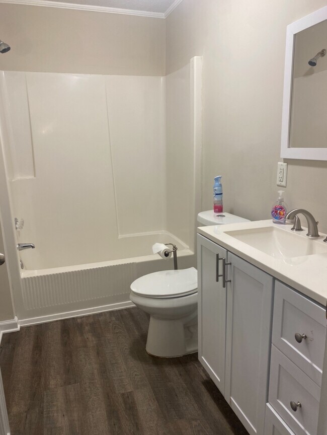 1st bathroom - 341 Sanders Davis Rd