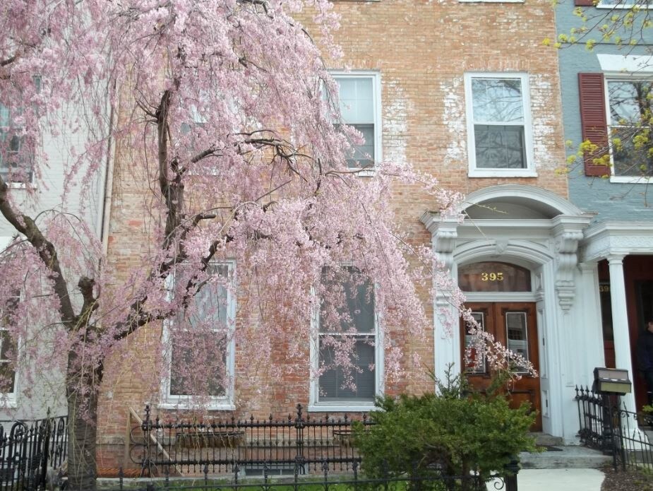 Historic Row House - 395 S Main St