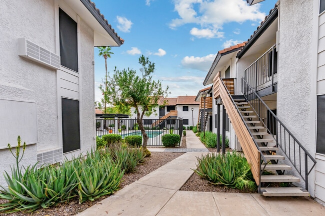 Building Photo - Terrasol
