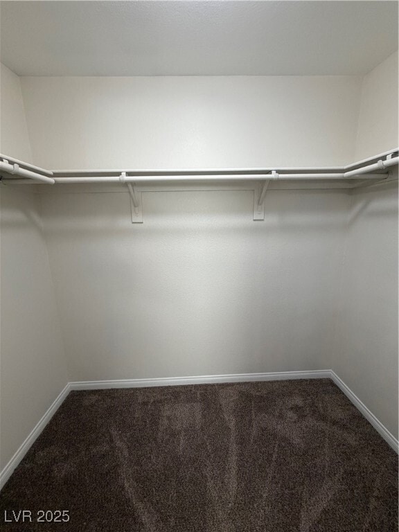 Building Photo - 287 Red Eucalyptus Dr