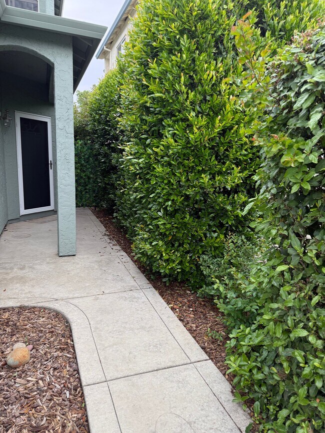 Foto del edificio - 23 Morning Rose Way