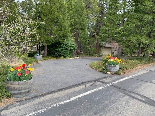 Primary Photo - 889 Buckthorn Dr