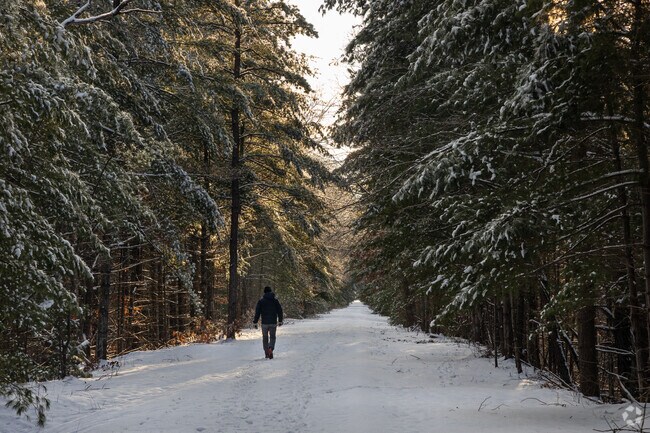 Bellingham residents love to walk the Southern New England Trunkline Trail in all seasons.