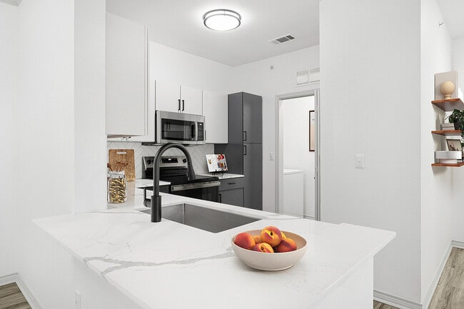 2x2 1240 sqft B2 - Kitchen - Birchstone Northlake