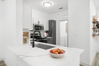 2x2 1240 sqft B2 - Kitchen - Birchstone Northlake