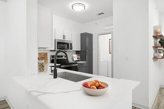 2x2 1240 sqft B2 - Kitchen - Birchstone Northlake