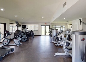 Legacy Vista Palms