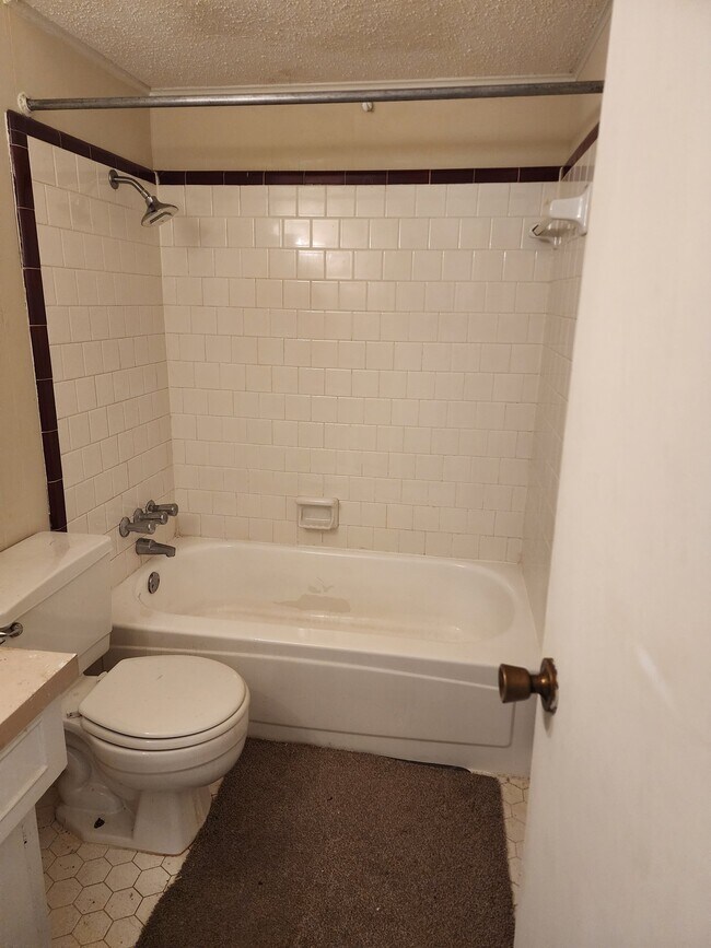 Building Photo - 214 Sierra Madre Dr