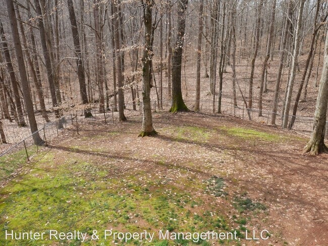 Building Photo - 4 br, 4 bath House - 4001 River Branch Lane