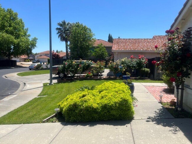 Building Photo - Modern 3 Bedroom One Story Browns Valley V...