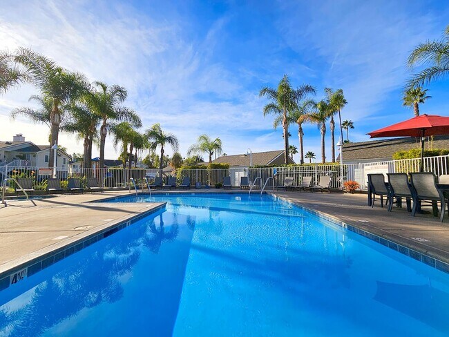 Foto del interior - Citrus Court Apartments