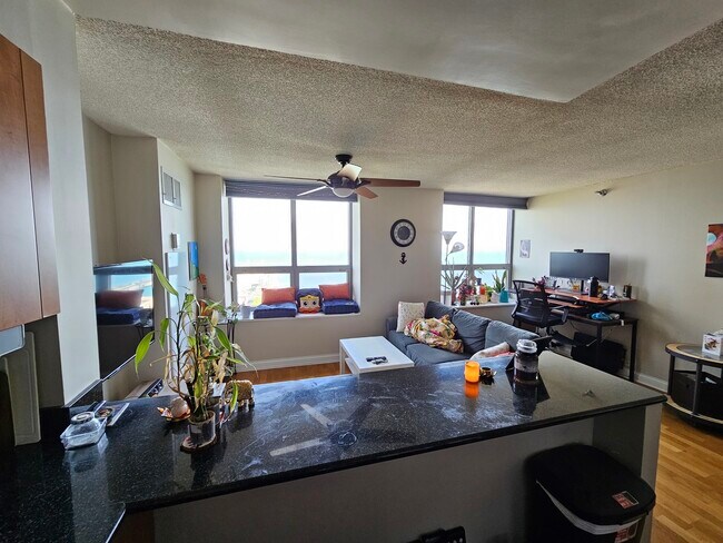 Foto del edificio - 474 N Lake Shore Dr
