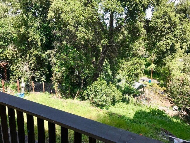 Foto del edificio - 3542 Oak Knoll Dr