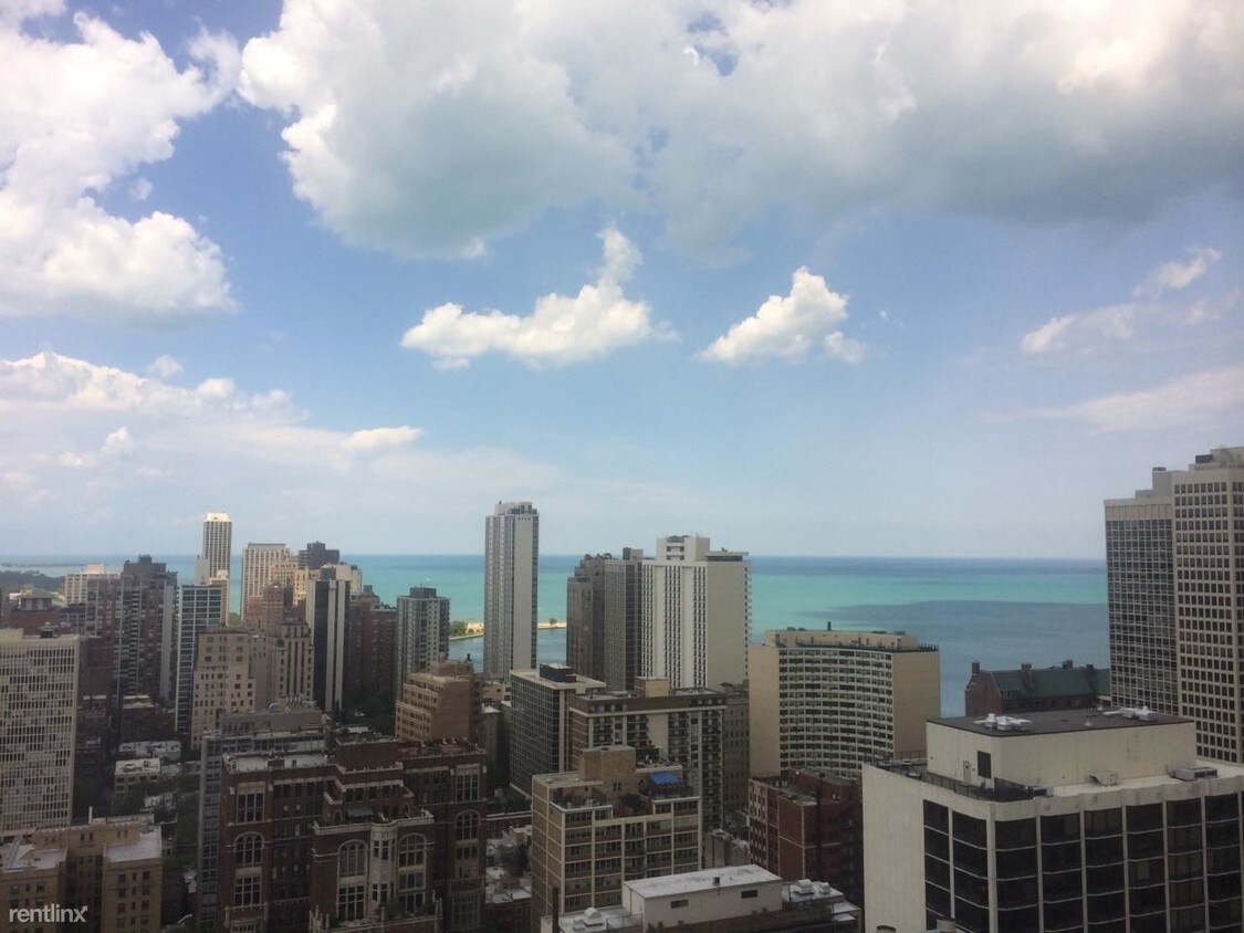 1 br, 1 bath - 2 E Oak St Apt 3710 - 1 br, 1 bath  - 2 E Oak St Apt 3710