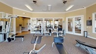 This fitness center is a comprehensively equipped single-floor facility designed to support a full range of workout routines. The space is defined by an abundance of natural light, delivered through large windows that line multiple walls, offering views of palm trees, lush greenery, and a nearby pool area. Warm beige walls accented with crown molding contribute to a clean, welcoming aesthetic, while patterned carpeting covers the floor throughout.

The cardio zone features multiple treadmills, elliptical trainers, and cycling bikes positioned to take advantage of the outdoor views. A wall-mounted television provides entertainment during workouts. The strength training area includes a cable and weight machine setup, along with dedicated bench press and weight benches. Free weights are neatly organized on a tiered dumbbell rack, and exercise balls in various sizes are available for functional training. Full-length mirrors are strategically placed to allow users to monitor their form.

Ceiling fans and overhead lighting ensure a comfortable environment, and the space connects to adjacent areas through glass-paneled French doors, enhancing the open, airy feel of the facility overall.