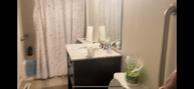 Main bathroom - 1208 E Linden St