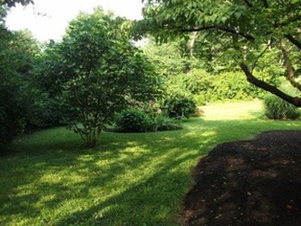 Patio interior - 200 Suburban Rd