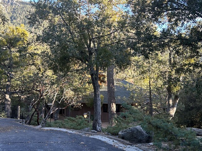 Foto del edificio - Extraordinary 4bd/4ba House in a Gated Com...