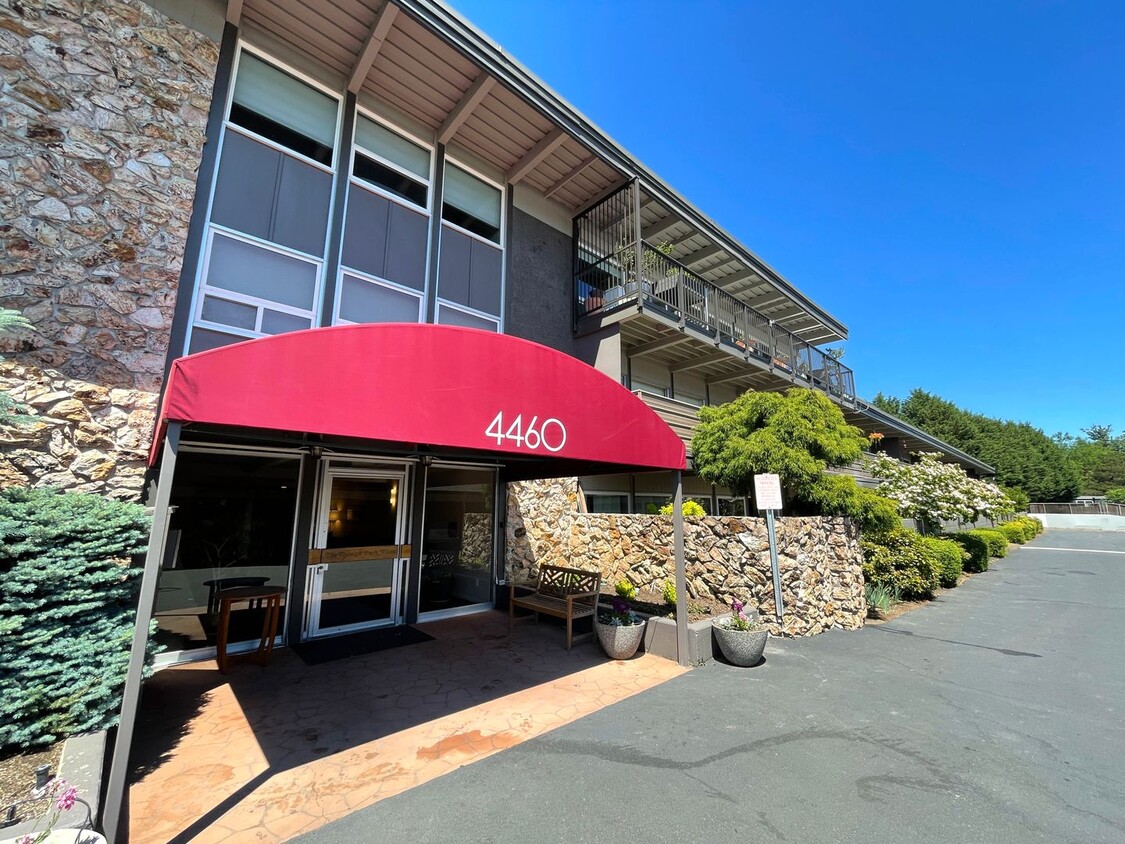 Primary Photo - Comfortable Raleigh Park Plaza Condo with ...