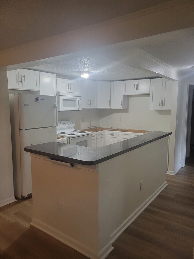 Kitchen (in progress) - 4079 E Michigan St