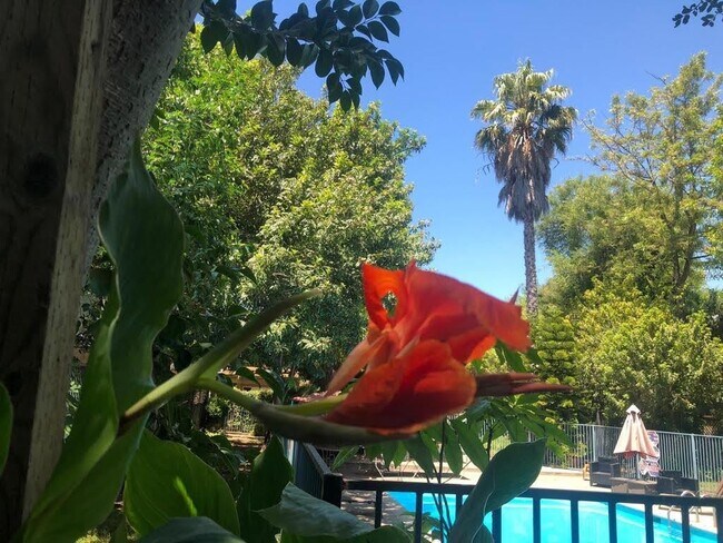 Building Photo - 105 Oak Rim Way