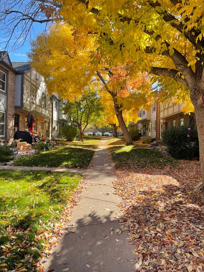 677 Vrain St, Denver, CO 80204 Townhome Rentals in Denver CO