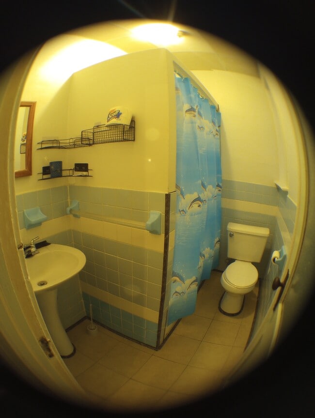 Building Photo - 533 66th St