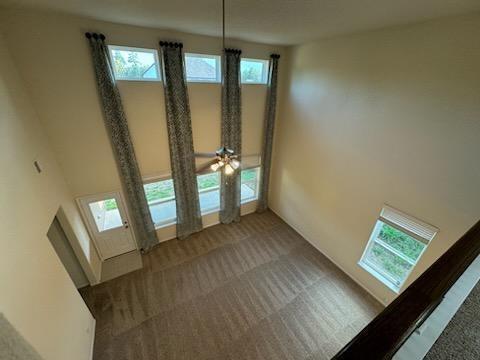 Foto del edificio - 3036 Tulip Poplar Ct