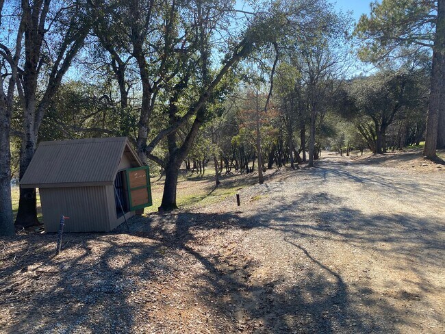 Building Photo - Beautiful 3-Bedroom Home with Bonus Room, Shop & 10 Acres!