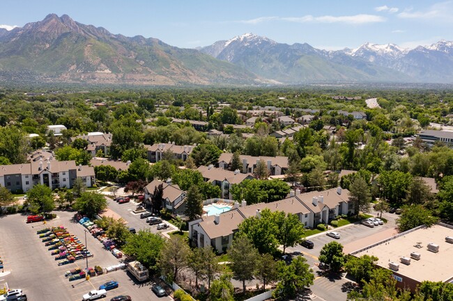 Cottonwood Apartments Ariel View - Cottonwood Apartments