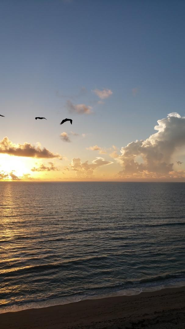 Foto del edificio - 7430 S Ocean Dr