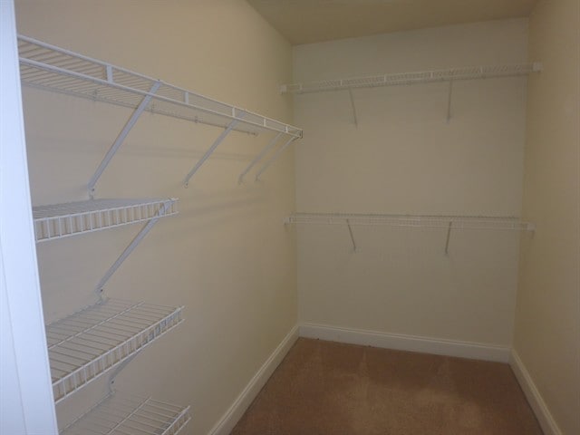 Building Photo - 2626 Bow Hunter Dr