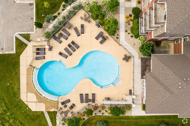 Sparkling Infinity Pool - The Addison