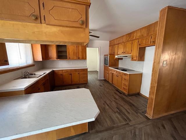 Foto del edificio - 3824 Blossom Ln