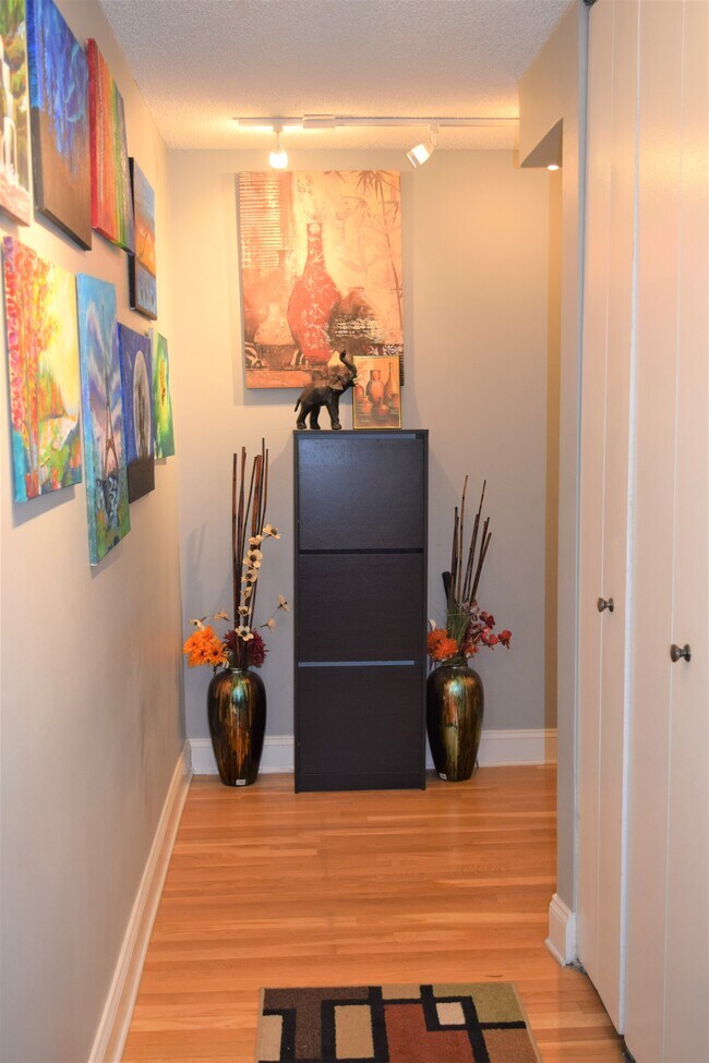 Entrada del condominio - Pasillo - 70 W Huron St