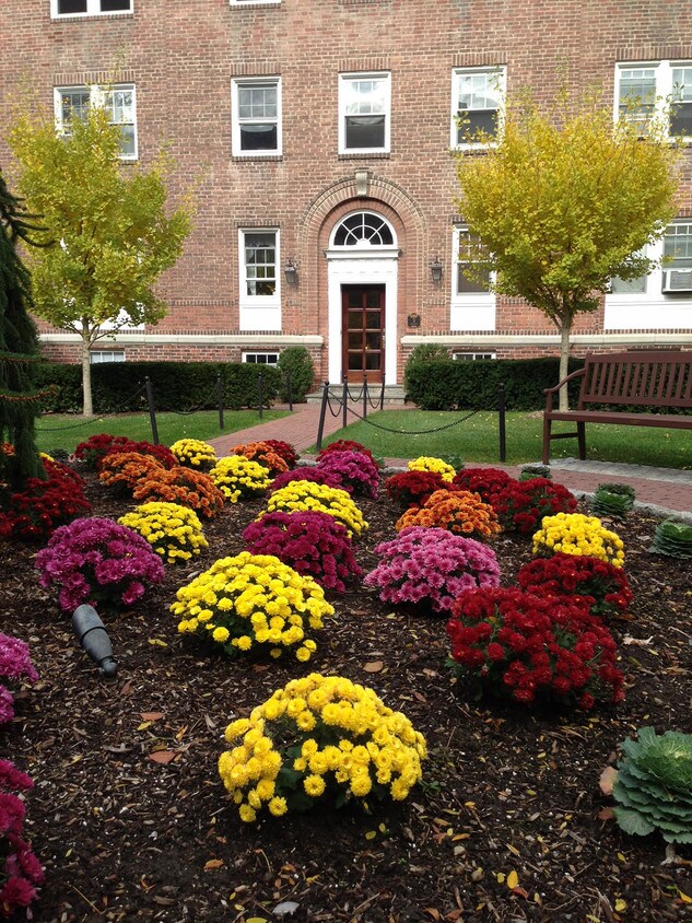 Fall at The Highlands at Rye - 131 Purchase St
