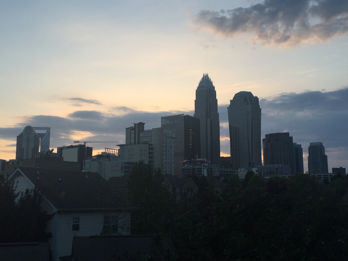 The view from the back deck - 708 E 8th St